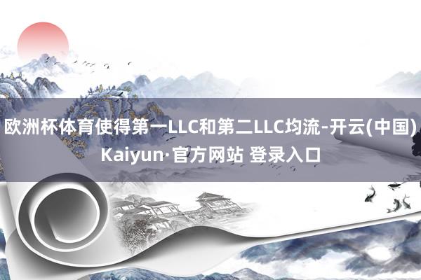 欧洲杯体育使得第一LLC和第二LLC均流-开云(中国)Kaiyun·官方网站 登录入口