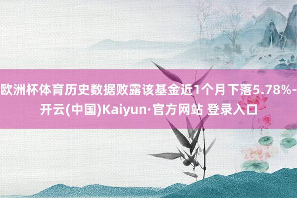 欧洲杯体育历史数据败露该基金近1个月下落5.78%-开云(中国)Kaiyun·官方网站 登录入口