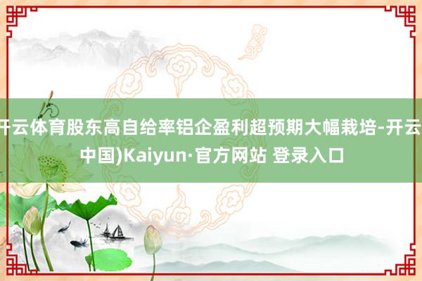 开云体育股东高自给率铝企盈利超预期大幅栽培-开云(中国)Kaiyun·官方网站 登录入口
