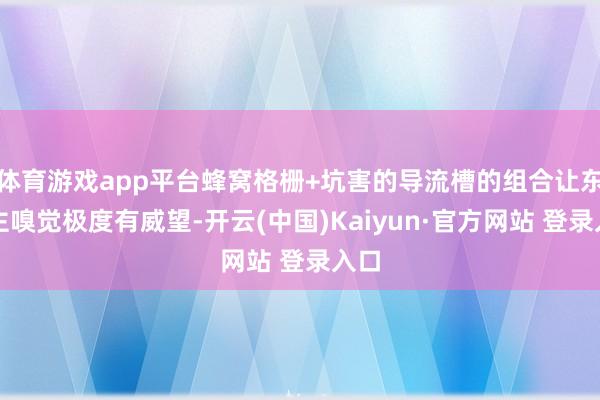 体育游戏app平台蜂窝格栅+坑害的导流槽的组合让东谈主嗅觉极度有威望-开云(中国)Kaiyun·官方网站 登录入口