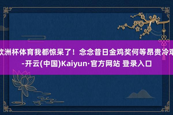 欧洲杯体育我都惊呆了！念念昔日金鸡奖何等昂贵冷艰-开云(中国)Kaiyun·官方网站 登录入口