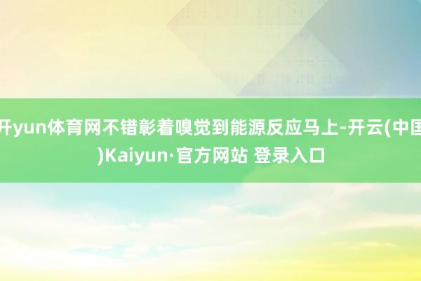 开yun体育网不错彰着嗅觉到能源反应马上-开云(中国)Kaiyun·官方网站 登录入口