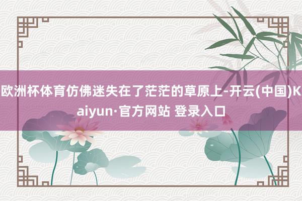 欧洲杯体育仿佛迷失在了茫茫的草原上-开云(中国)Kaiyun·官方网站 登录入口