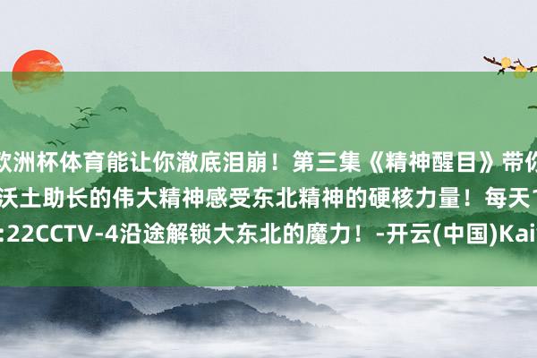 欧洲杯体育能让你澈底泪崩！第三集《精神醒目》带你真切了解东北这片红色沃土助长的伟大精神感受东北精神的硬核力量！每天18:22CCTV-4沿途解锁大东北的魔力！-开云(中国)Kaiyun·官方网站 登录入口