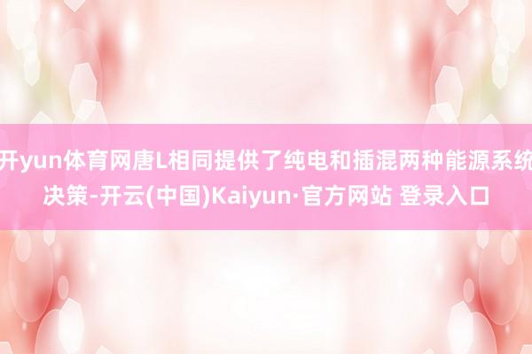 开yun体育网唐L相同提供了纯电和插混两种能源系统决策-开云(中国)Kaiyun·官方网站 登录入口