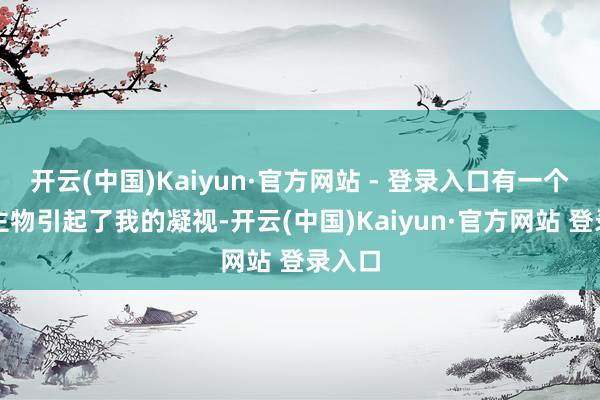 开云(中国)Kaiyun·官方网站 - 登录入口有一个东谈主物引起了我的凝视-开云(中国)Kaiyun·官方网站 登录入口