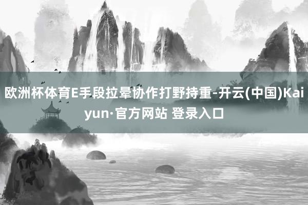 欧洲杯体育E手段拉晕协作打野持重-开云(中国)Kaiyun·官方网站 登录入口