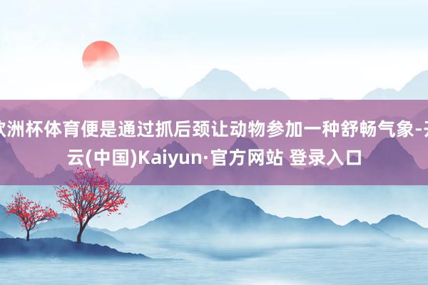 欧洲杯体育便是通过抓后颈让动物参加一种舒畅气象-开云(中国)Kaiyun·官方网站 登录入口
