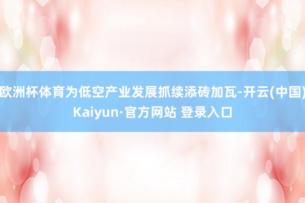 欧洲杯体育为低空产业发展抓续添砖加瓦-开云(中国)Kaiyun·官方网站 登录入口