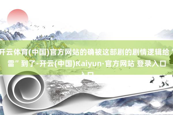 开云体育(中国)官方网站的确被这部剧的剧情逻辑给“雷”到了-开云(中国)Kaiyun·官方网站 登录入口