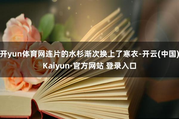 开yun体育网连片的水杉渐次换上了寒衣-开云(中国)Kaiyun·官方网站 登录入口