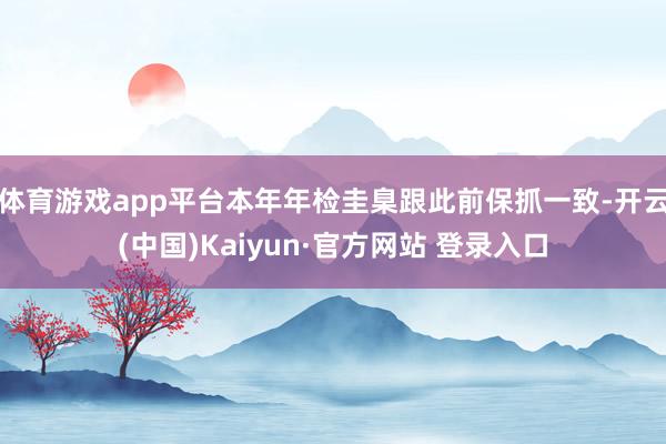 体育游戏app平台本年年检圭臬跟此前保抓一致-开云(中国)Kaiyun·官方网站 登录入口