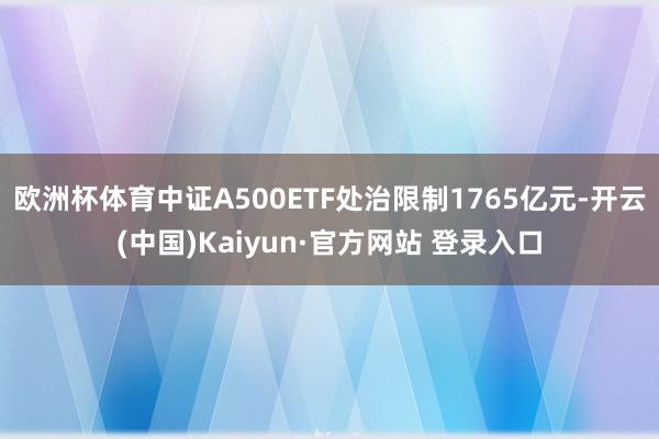 欧洲杯体育中证A500ETF处治限制1765亿元-开云(中国)Kaiyun·官方网站 登录入口