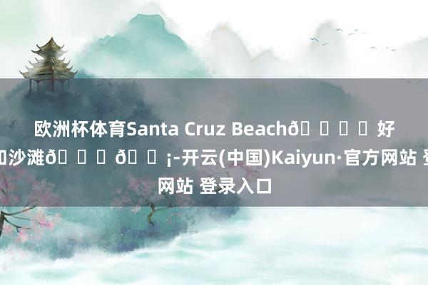 欧洲杯体育Santa Cruz Beach🏖️好爱阳光和沙滩🌊🎡-开云(中国)Kaiyun·官方网站 登录入口