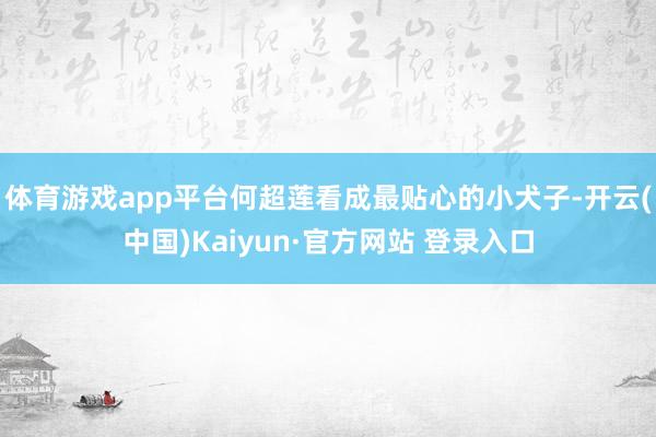 体育游戏app平台何超莲看成最贴心的小犬子-开云(中国)Kaiyun·官方网站 登录入口