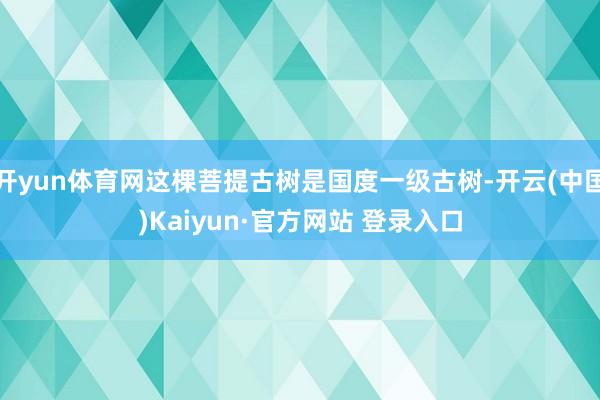 开yun体育网这棵菩提古树是国度一级古树-开云(中国)Kaiyun·官方网站 登录入口