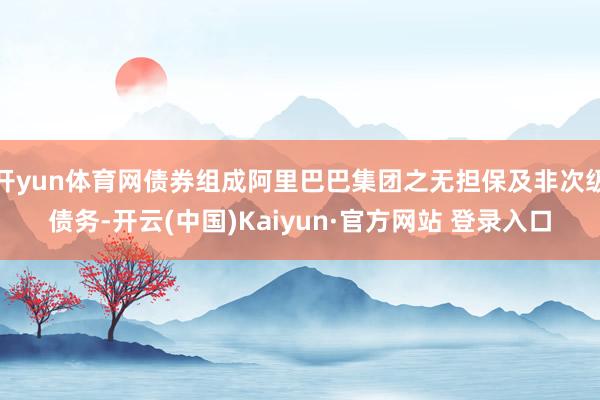 开yun体育网债券组成阿里巴巴集团之无担保及非次级债务-开云(中国)Kaiyun·官方网站 登录入口