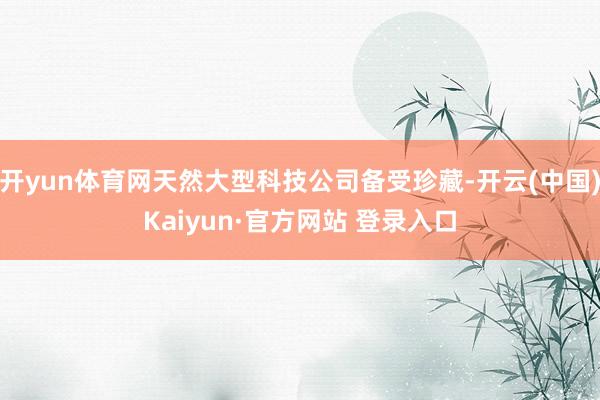 开yun体育网天然大型科技公司备受珍藏-开云(中国)Kaiyun·官方网站 登录入口