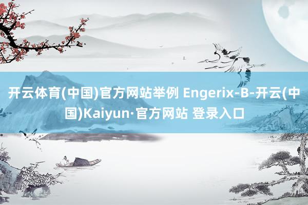 开云体育(中国)官方网站举例 Engerix-B-开云(中国)Kaiyun·官方网站 登录入口