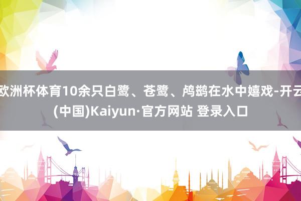 欧洲杯体育10余只白鹭、苍鹭、鸬鹚在水中嬉戏-开云(中国)Kaiyun·官方网站 登录入口